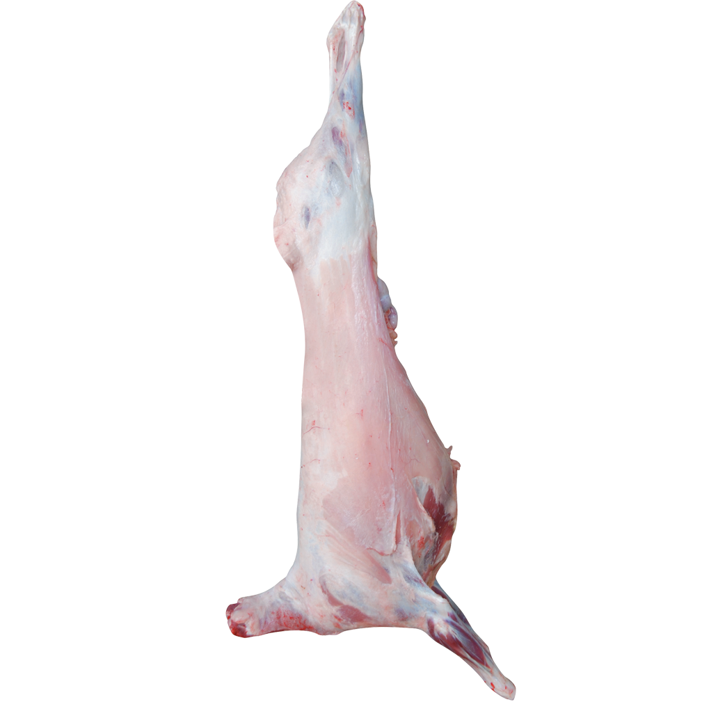 BÜTÜN KUZU (25 KG )