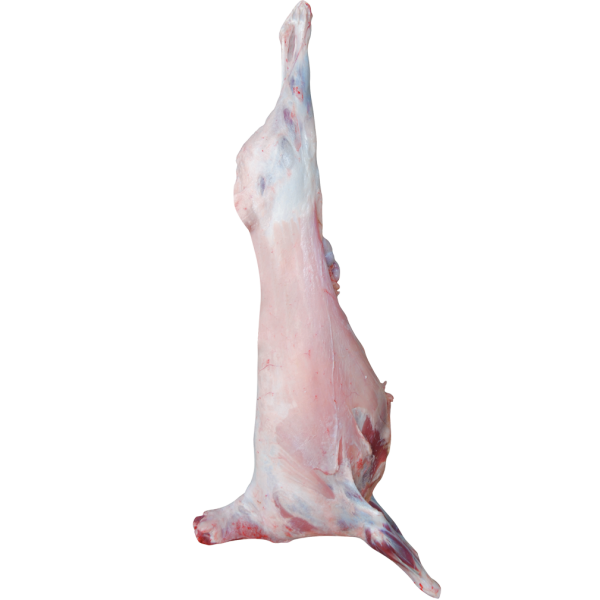 BÜTÜN KUZU (25 KG )